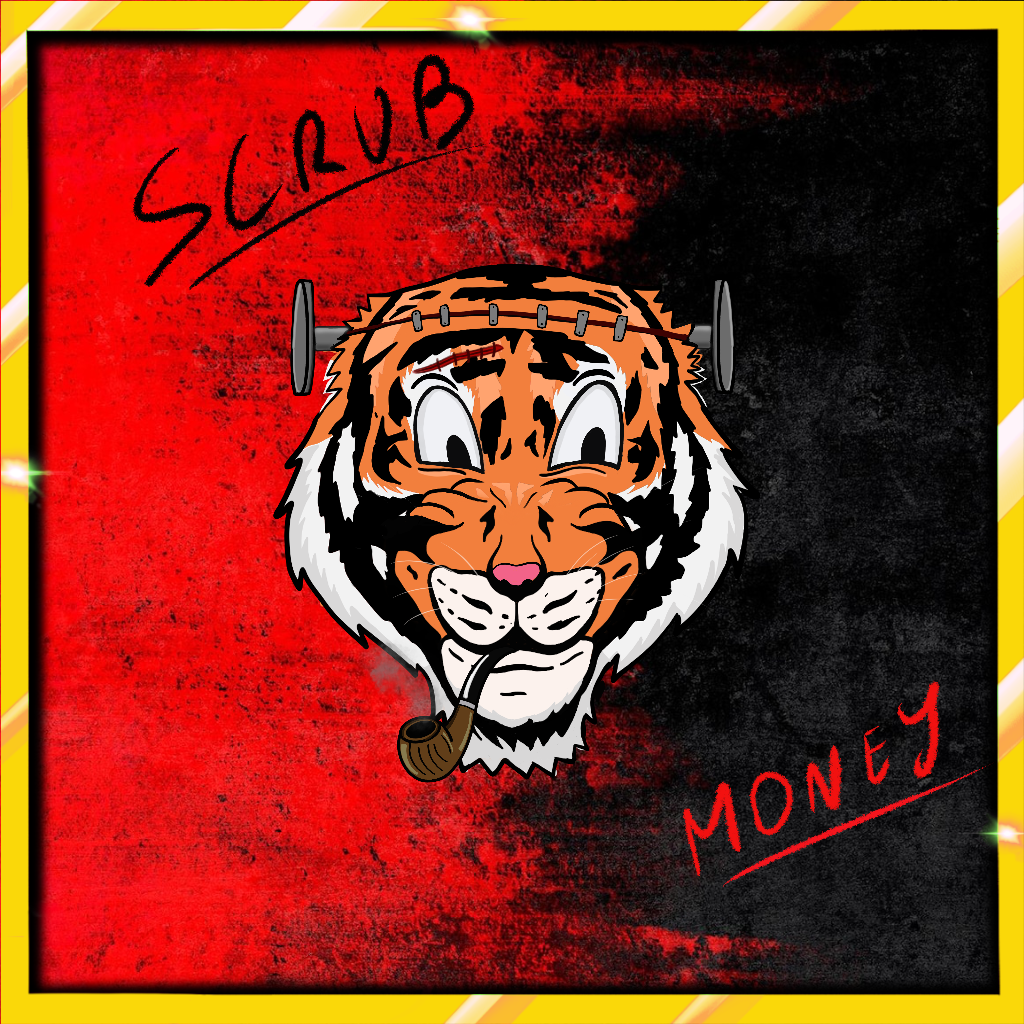 ScrubMoney Gen1 #2